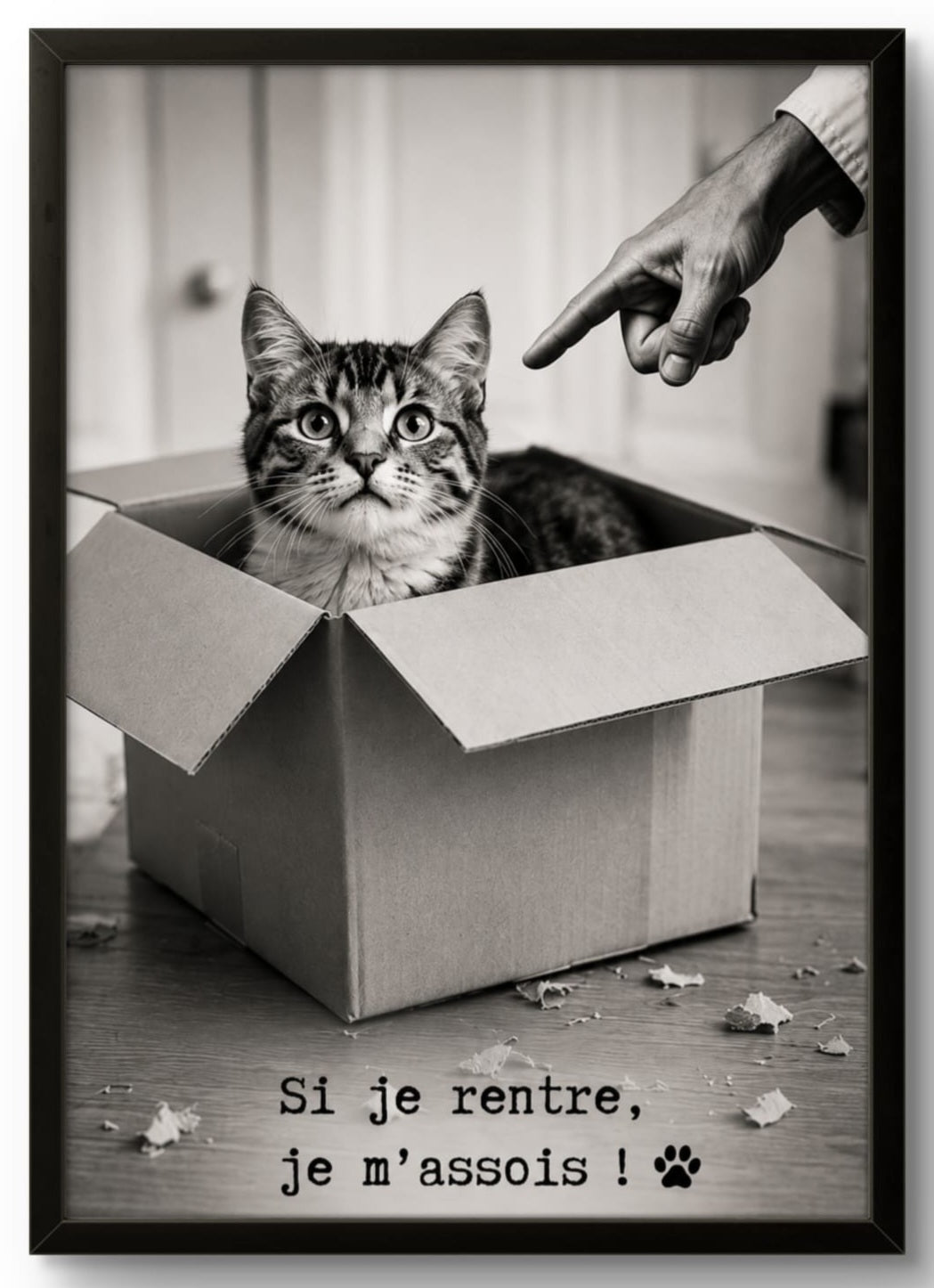 Tableau chat humour « Si je rentre, je m'assois ! » – affiche encadrée cadre noir 21x30 cm, décoration murale fun
