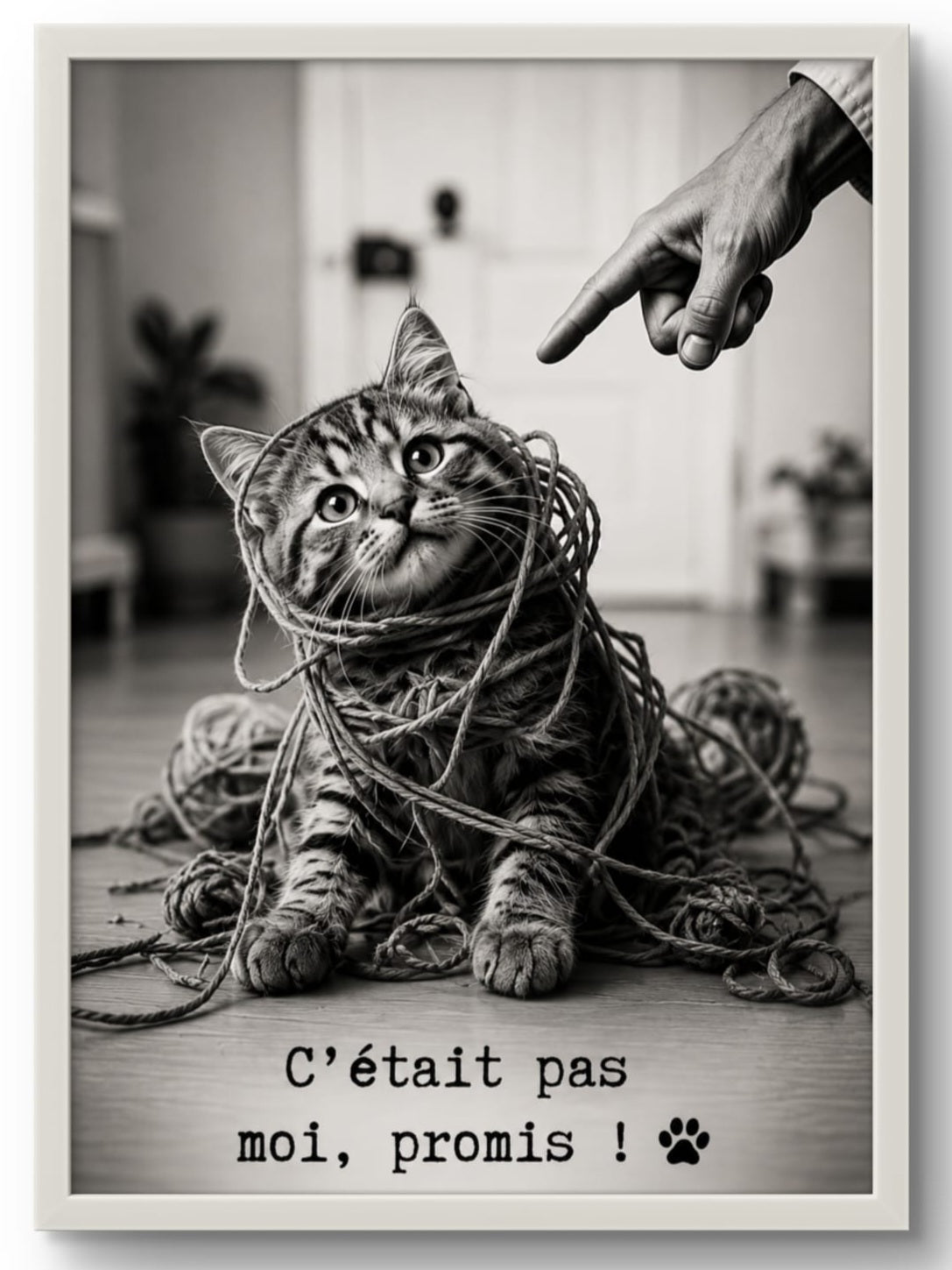 Tableau, Affiche Chat Humour – C'était pas moi, promis ! 🐾