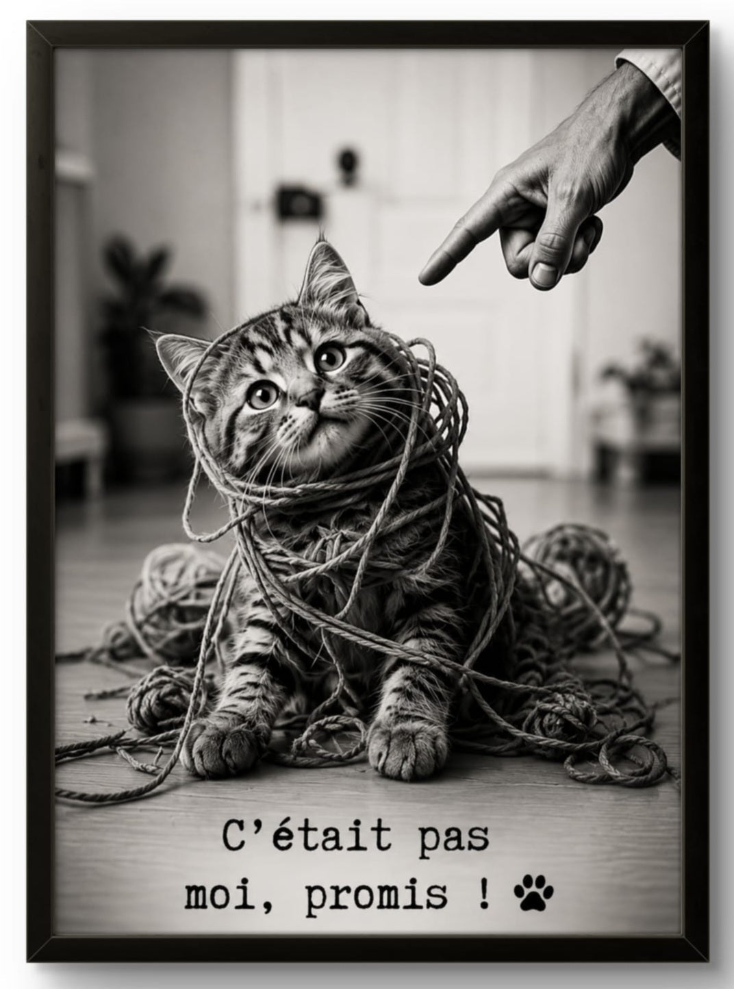 Tableau, Affiche Chat Humour – C'était pas moi, promis ! 🐾